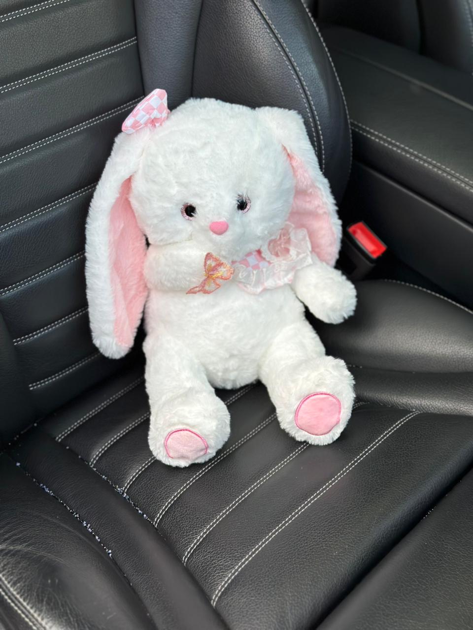 Lainika Bunny